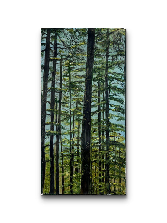 "Pines of Peace"